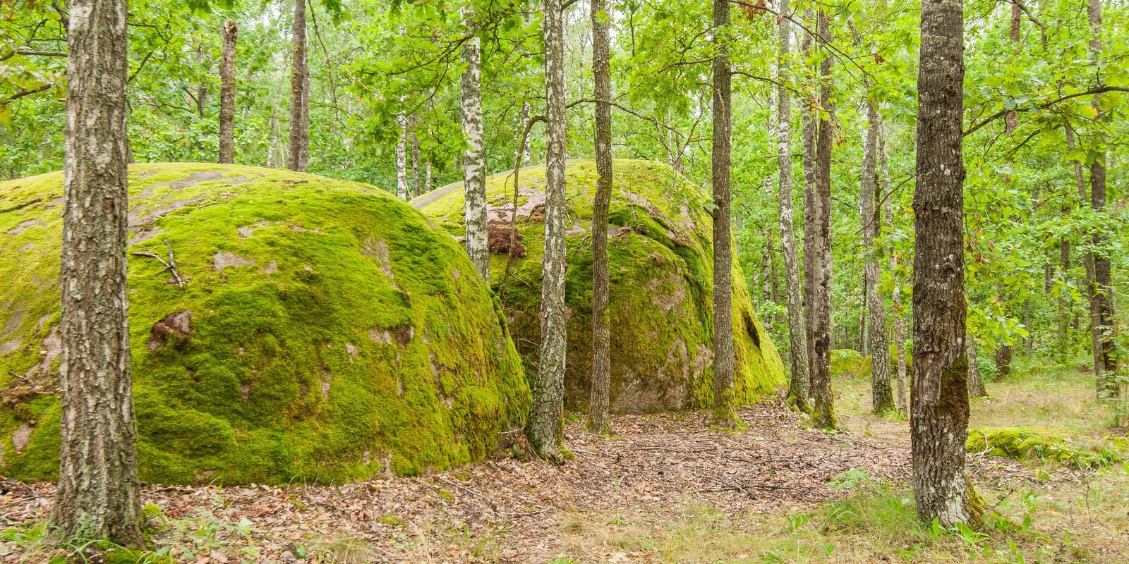 Кам’яне село – в гостях у гобітів